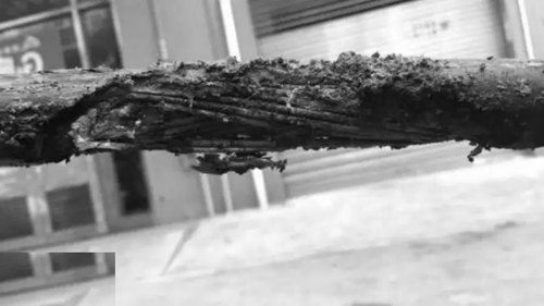 環境要素的原因