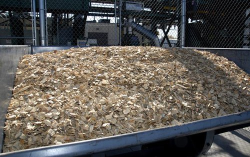 中圣集團將在保加利亞規劃建造一座生物質能發電廠